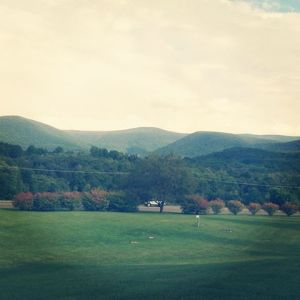 1185542_10201273333727738_966197181_n