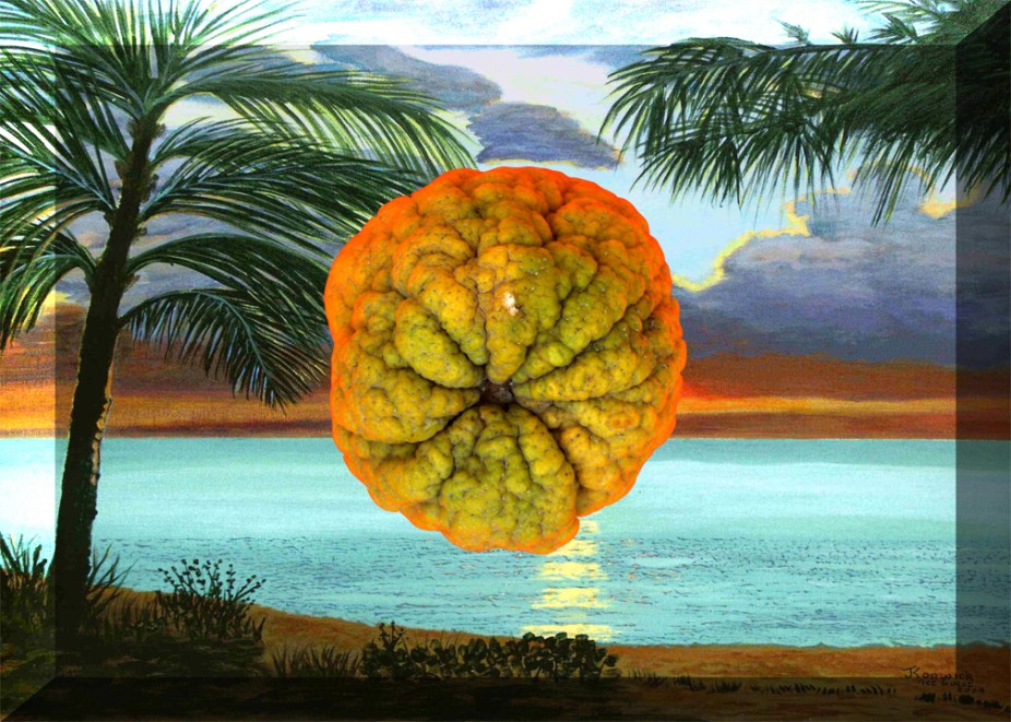 99CARIBBEANSUNSETS-VIDEOSTILL