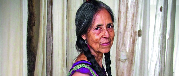 cecilia-vicuña-e1471543063995-700x300