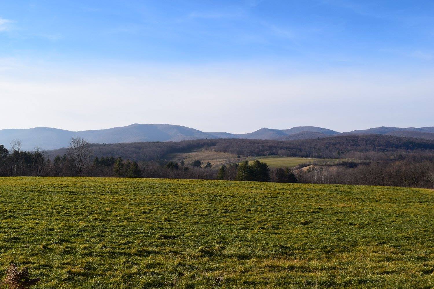 11231855_10206866019421385_4100164792939446746_o